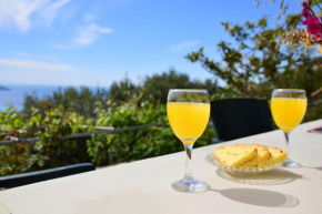 Perfetto Country House - Myrtos View